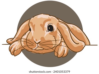 hand drawn rabbit vector illustration