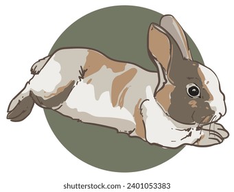 hand drawn rabbit vector illustration