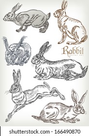 hand drawn rabbit vector set