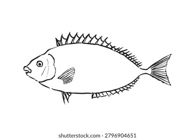 Hand Drawn Rabbitfish Line Art Illustration
