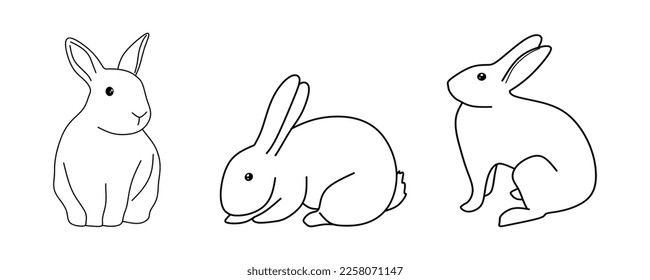 Hand drawn rabbits vector set. Rabbit sketch collection. Hare linear illustration. Bunny in doodle style. Vector illustration