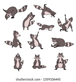 Hand drawn raccoon do yoga. Asana set. Cute wildlife animal character do fitness. Isolated vector design.