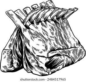 Hand drawn Rack of Lamb Sketch illustration