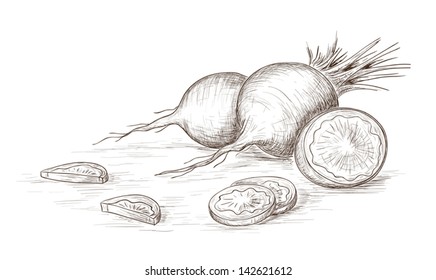 Hand drawn radish