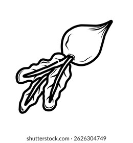 Hand Drawn radish vector illustration. Sketch style root vegetable graphic. Rough sketch radish artwork with leaves