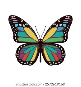 Hand drawn Rainbow Butterfly illustration vector