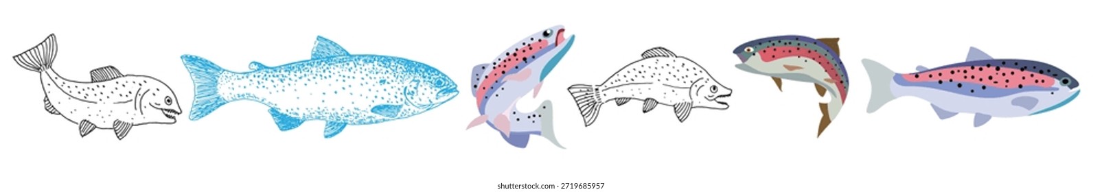 Vector de trucha arco iris dibujado a mano