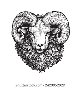 Hand drawn ram sheep portrait. Sketch style farm domestic animal. Best for logo designs. Vector illustrations isolated on white.