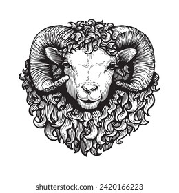 Hand drawn ram sheep portrait. Sketch style farm domestic animal. Best for logo designs. Vector illustrations isolated on white.