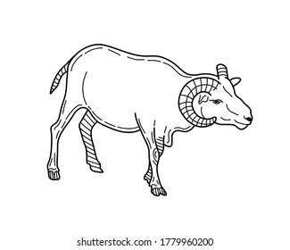 Hand drawn ram. Sketch vector illustration.