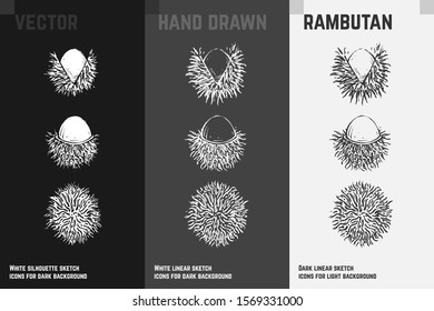 Hand drawn rambutan or nephelium icons set isolated on white, gray and black chalk background. Sketch of exotic fruits for packaging and menu design. Vintage vector illustrations.