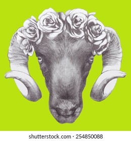 Hand drawn ram's head with roses. Vector elements.