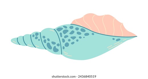 Hand drawn Rapa Snail Seashell. Cartoon style flat illustration seashell isolated on white background. Vector illustration