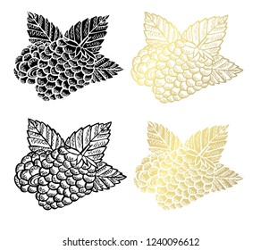Hand drawn raspberries, design elements. Can be used for cards, invitations, scrapbooking, print, fabric, manufacturing, food themes. Golden fruits