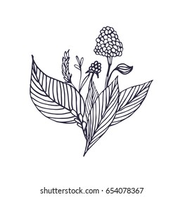Hand drawn raspberries on white background. Floral composition. Bouquet with hand drawn spring flowers and plants. Monochrome vector illustration in sketch style.