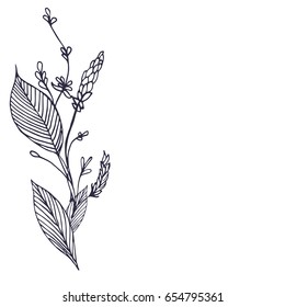 Hand drawn raspberries on white background. Floral composition. Bouquet with hand drawn spring flowers and plants. Monochrome vector illustration in sketch style.