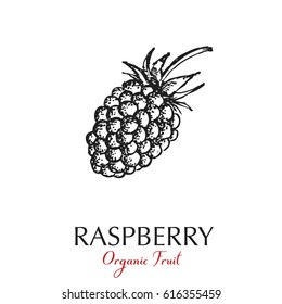 Hand drawn raspberry icon.