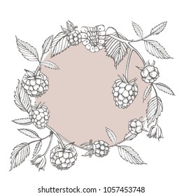 Hand drawn raspberry. Retro sketch style vector illustration. Perfect for invitation, wedding or greeting cards.