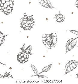 Hand drawn raspberry. Retro sketch style vector illustration. Perfect for invitation, wedding or greeting cards. Seamless pattern.