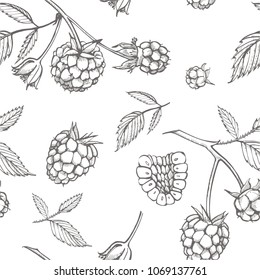 Hand drawn raspberry. Retro sketch style vector illustration. Perfect for invitation, wedding or greeting cards. Seamless pattern.