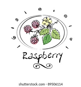 hand drawn raspberry in vignette