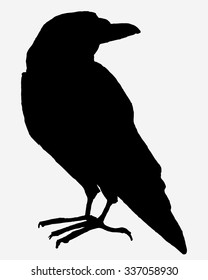 Raven Vector Stock Illustrations, Images & Vectors | Shutterstock