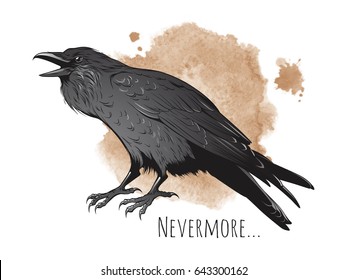 Hand drawn raven on sepia background vector illustration.