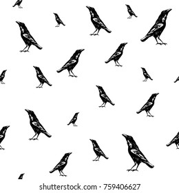 Hand drawn ravens seamless pattern. Vector illustration from pencil drawing.