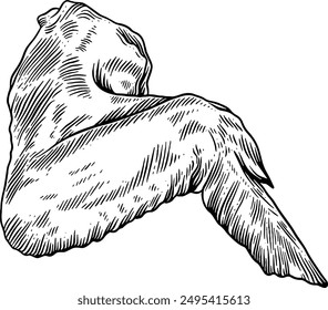 Hand drawn Raw Chicken Wing Sketch Illustration