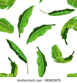 Hand drawn realistic banana leaves pattern. Vector illustration. Suitable for any kind of design.