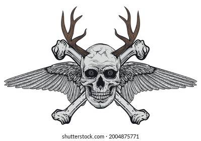 Hand drawn realistic black and white human skull with wings and deer antlers