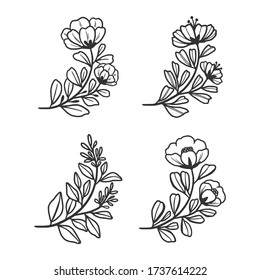 hand drawn realistic botanical herbs, flowers, branch, and leaf logo element collection