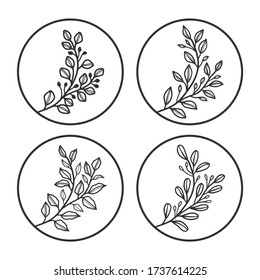 hand drawn realistic botanical herbs, flowers, branch, and leaf logo element collection