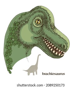 Hand drawn realistic dinosaurus Brachiosaurus