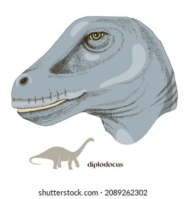 Hand drawn realistic dinosaurus Diplodocus