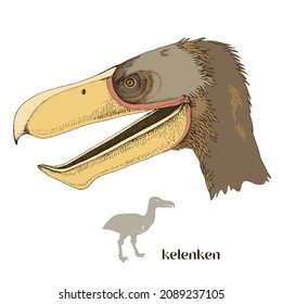Hand drawn realistic dinosaurus Kelenken