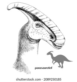 Hand drawn realistic dinosaurus Parasaurolof