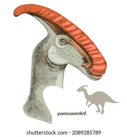 Hand drawn realistic dinosaurus Parasaurolof