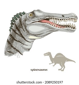 Hand drawn realistic dinosaurus Spinosaurus
