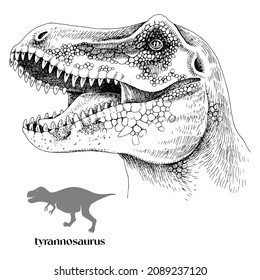 Hand drawn realistic dinosaurus t-rex