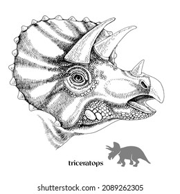 Hand drawn realistic dinosaurus Triceratops