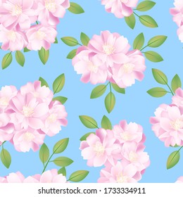 Hand drawn realistic flowers pink sakura vector illustration seamless blue background, blooming flowers, summer spring elements, Valentine's Day, Japanese Chinese sakura