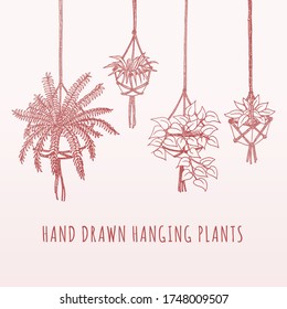 Hand Drawn Realistic Hanging Plants