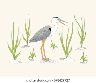 Hand drawn realistic heron among herb for home art, decorate wall, kids rooms, book, notebook, tutorials, posters, banners. eps 10.