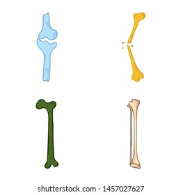 Hand drawn realistic human bones. Vector illustration