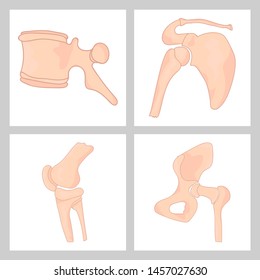 Hand drawn realistic human bones. Vector illustration