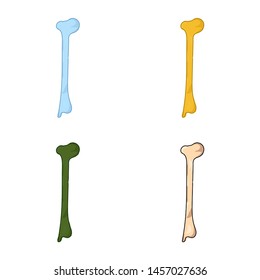 Hand drawn realistic human bones. Vector illustration