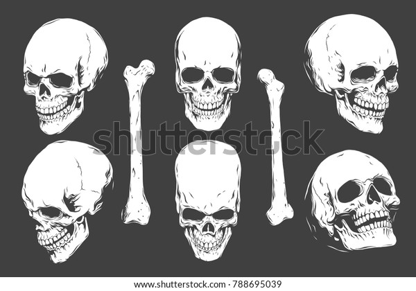 手描きのリアルな人間の頭蓋骨と骨 黒い背景にモノクロベクターイラスト のベクター画像素材 ロイヤリティフリー