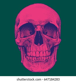 Hand drawn realistic pink skull on green background. Dotted technique. Vector template design