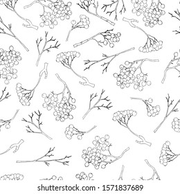 Hand drawn realistic rowan tree leaves and berries seamless background. Floral botanical endless texture. Ashberry pattern. Black and White. Flora illustration drawn in vector by hand